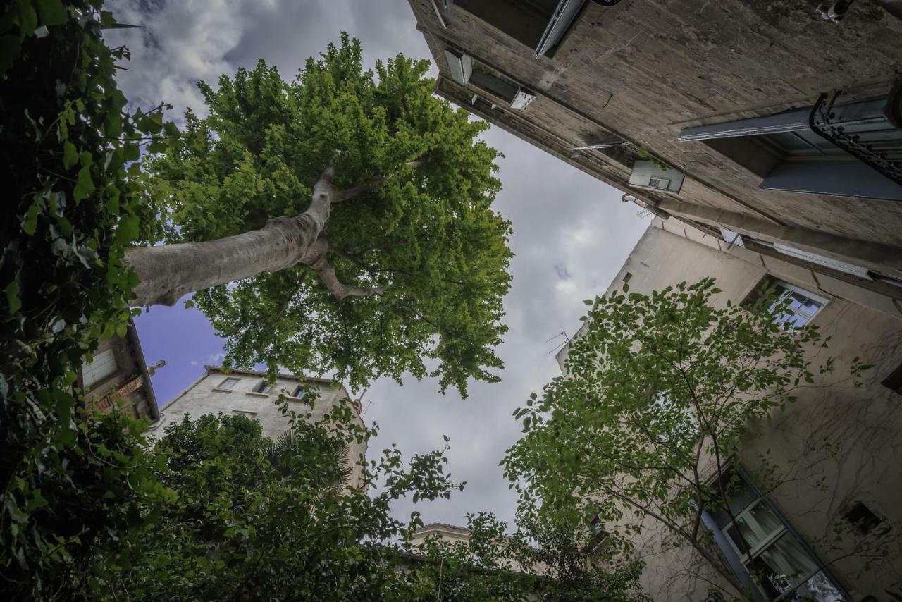 Apartamento Les Jardins De L'Ecusson - Premiere Conciergerie Montpellier Exterior foto