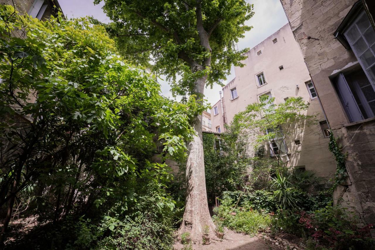 Apartamento Les Jardins De L'Ecusson - Premiere Conciergerie Montpellier Exterior foto